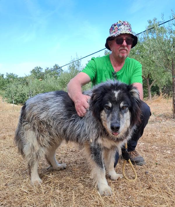 Nonno Nando Cerca Famiglia. Info Monica 3890238584 Foto 7